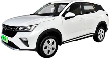 Wuling Wuling Alvez