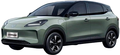 Wuling Wuling Binguo Plus