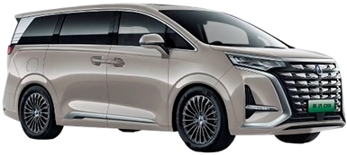 Denza Denza D9
